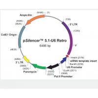 pSilencer5.1-U6-Retro