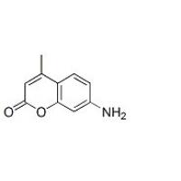 7-氨基-4-甲基香豆素  7-Amino-4-methylcoumarin   26093-31-2