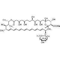 两性霉素B  DMSO溶  Amphotericcin B  1397-89-3