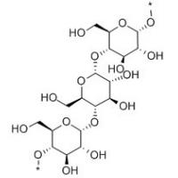 直链淀粉  Amylose   9005-82-7