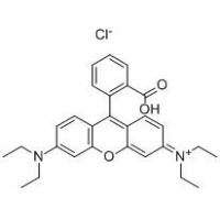 罗丹明B/玫瑰红B  Rhodamine B  81-88-9