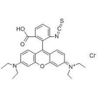 异硫氰酸罗丹明B  Rhodamine B Isothiocyanate  36877-69-7