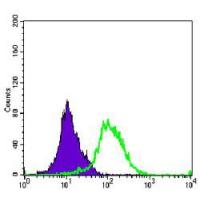 ARK-1 Monoclonal Antibody