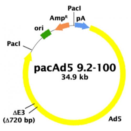 pacAd5 9.2-100