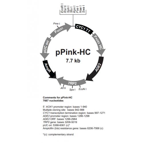 pPink HC