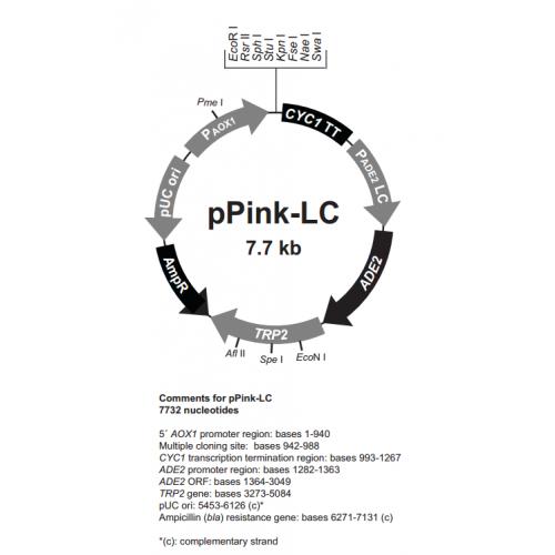 pPink LC