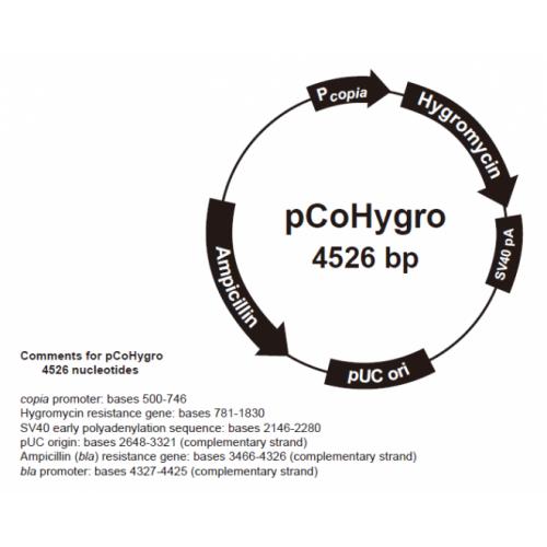 pCoHygro