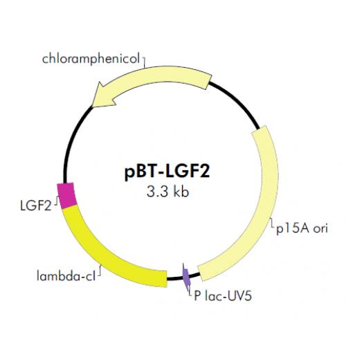 pBT-LGF2