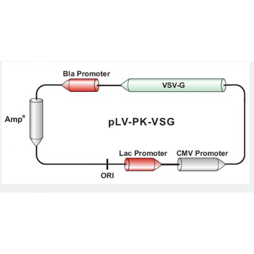 pLV-PK-VSG