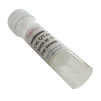 Rabbit  anti-Pig IgG（Pure  IgG）