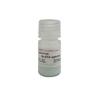 Ni-NTA agarose His-标签蛋白纯化填料 30210 His- label protein purification filler