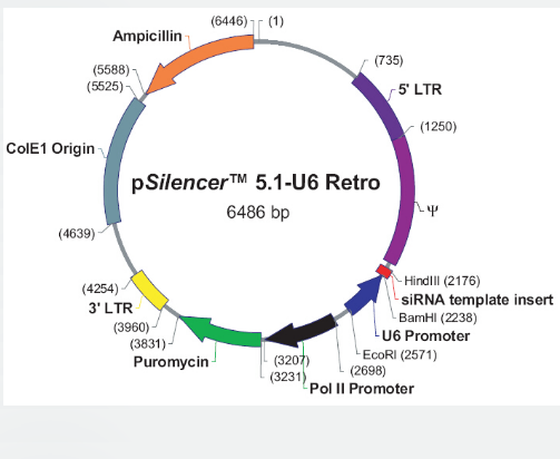 pSilencer5.1-U6-Retro