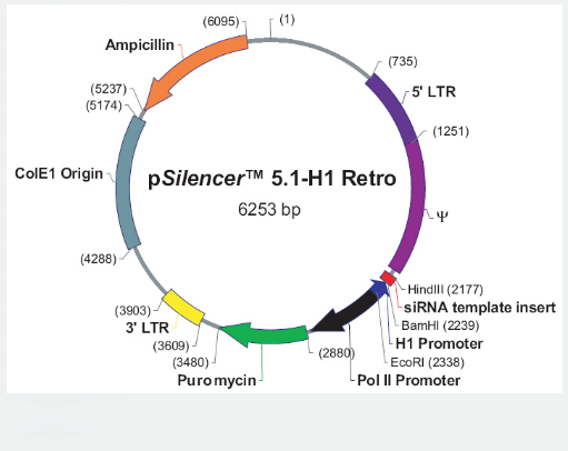 pSilencer5.1-H1-Retro