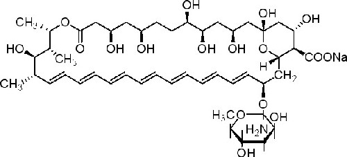 两性霉素B  DMSO溶  Amphotericcin B  1397-89-3