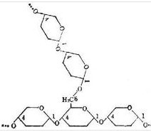 支链淀粉  Amylopectin  9037-22-3