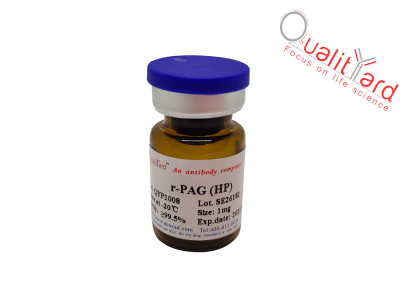 高纯度重组蛋白A蛋白G融合蛋白，r-PAG HP 纯度≧99.5% ，标准品级别