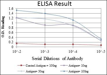 ARK-1 Monoclonal Antibody