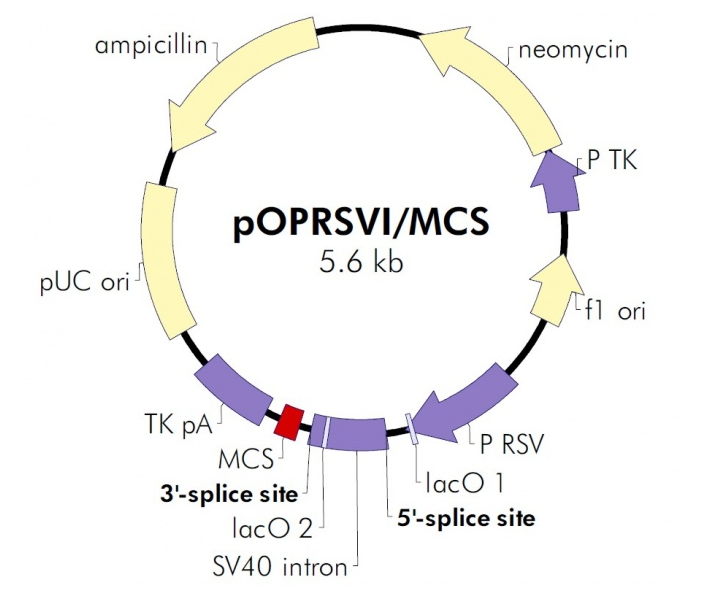 pOPRSVI