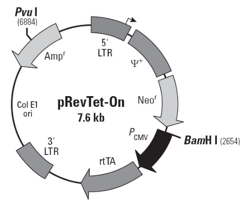 pRevTet-On