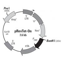 pRevTet-On