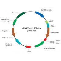pRNATin-H1.2/Retro