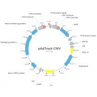 pAdTrack-CMV