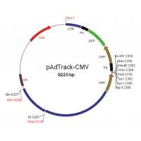 pAdTrack-CMV