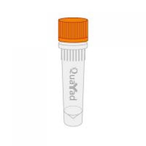 c-myc琼脂糖凝胶  c-myc-beads, c-myc-probe Antibody Agarose Beads