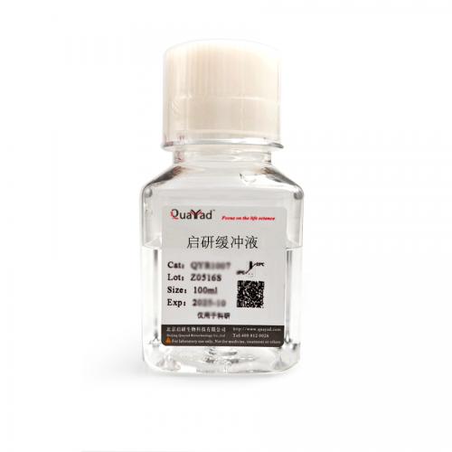 3M乙酸钠溶液 PH5.2 DNase &amp;amp;amp;amp; RNase free）