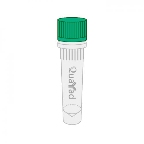 ADP5'腺苷二磷酸二钠盐  Adenosine-5'-diphosphate,disodium salt ADP  16178-48-6