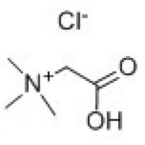 盐酸甜菜碱  Betaine HCl  590-46-5