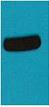 AmCyan Polyclonal Antibody