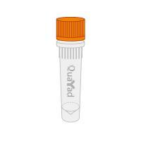 flag琼脂糖凝胶  flag-beads, flag-probe antibody agarose beads