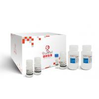 高纯度质粒大提试剂盒 HiPure Plasmid MaxiPrep Kit