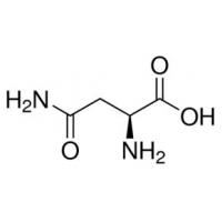 L-天门冬酰胺  L-Asparagine  70-47-3