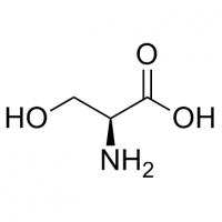 L-丝氨酸  L-Serine  56-45-1