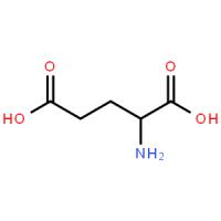 谷氨酸脱氢酶 Glutamate Dehydrogenase 9029-12-3