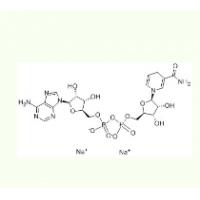 还原型辅酶I  NADH I  606-68-8