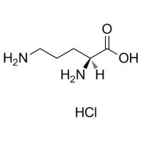 L-鸟氨酸盐酸盐 L-Ornithine hydrochloride3184-13-2