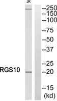 RGS10 Polyclonal Antibody