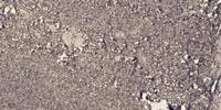 LIMK-1 Polyclonal Antibody