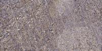 Sck Polyclonal Antibody