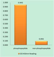 Abl1 (phospho Tyr204) Polyclonal Antibody