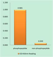 Stat2 (phospho Tyr690) Polyclonal Antibody