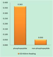 IL-10Rα (phospho Tyr496) Polyclonal Antibody