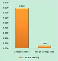 Wee1 (phospho Ser642) Polyclonal Antibody