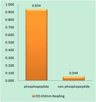 TTK (phospho Thr676) Polyclonal Antibody