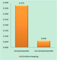 PR (phospho Ser400) Polyclonal Antibody