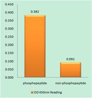 PRAS40 (phospho Thr246) Polyclonal Antibody