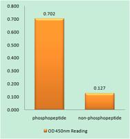 PC-PLD2 (phospho Tyr169) Polyclonal Antibody